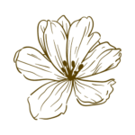 Lotusblüte; Gehmeditation, Saskia John